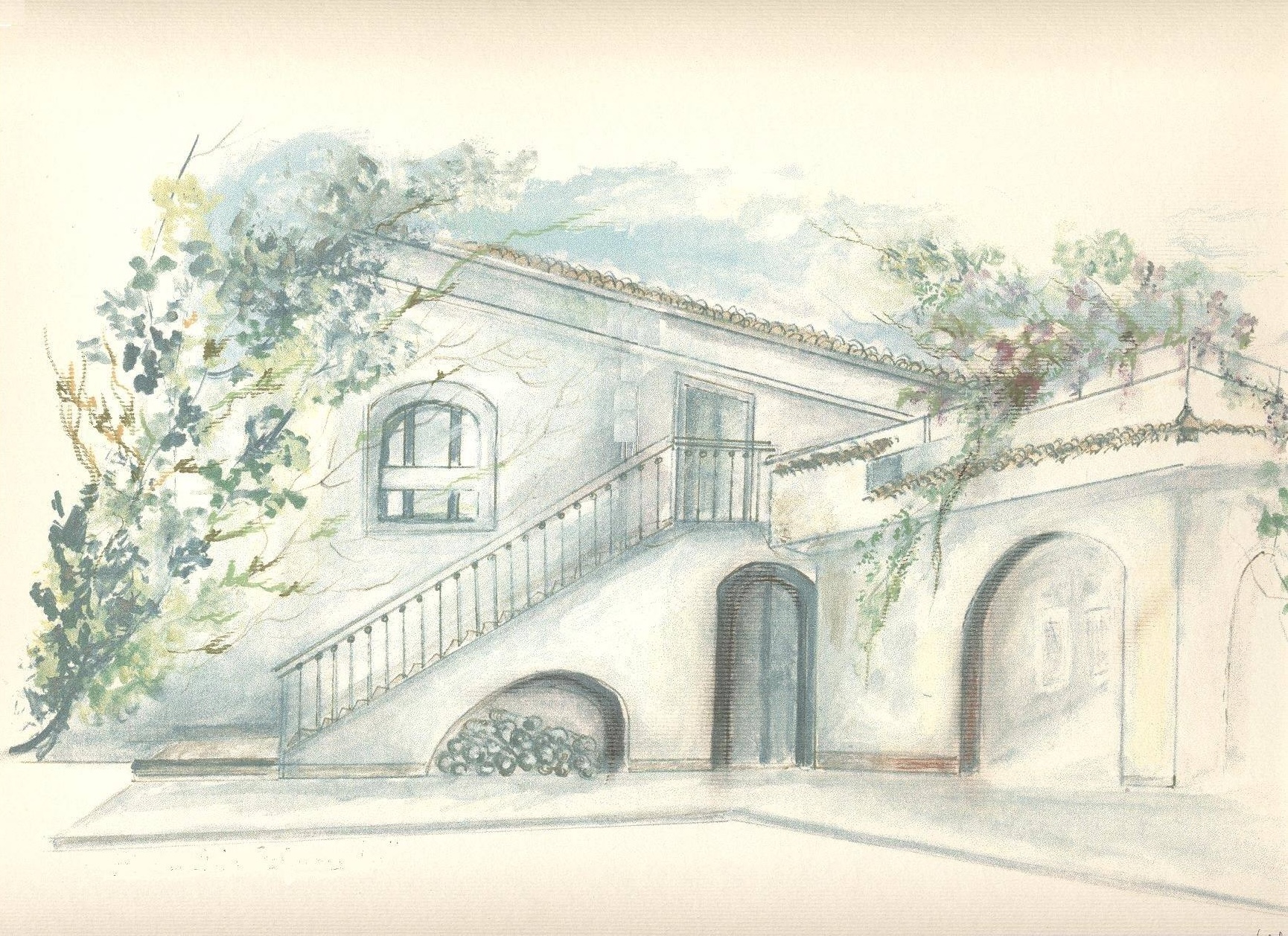 Azienda Agricola Virzì